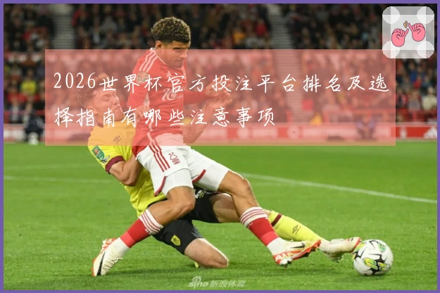 2026世界杯官方投注平台排名及选择指南有哪些注意事项