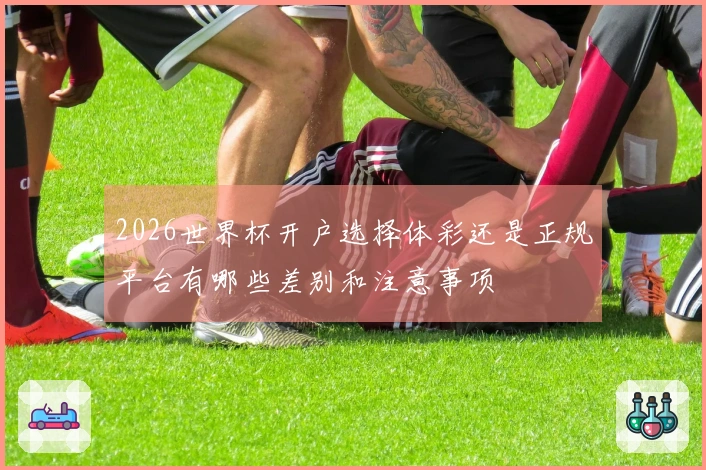 2026世界杯开户选择体彩还是正规平台有哪些差别和注意事项