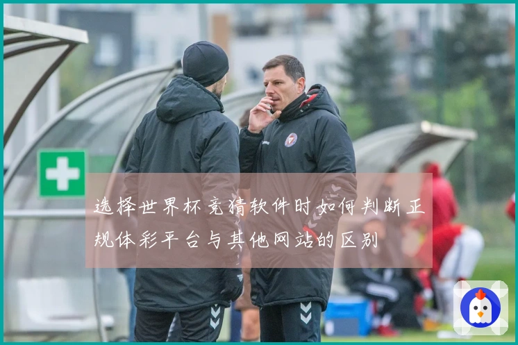 选择世界杯竞猜软件时如何判断正规体彩平台与其他网站的区别