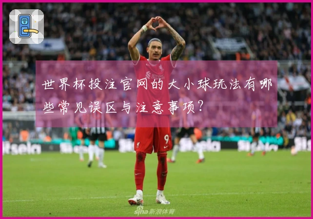 世界杯投注官网的大小球玩法有哪些常见误区与注意事项？