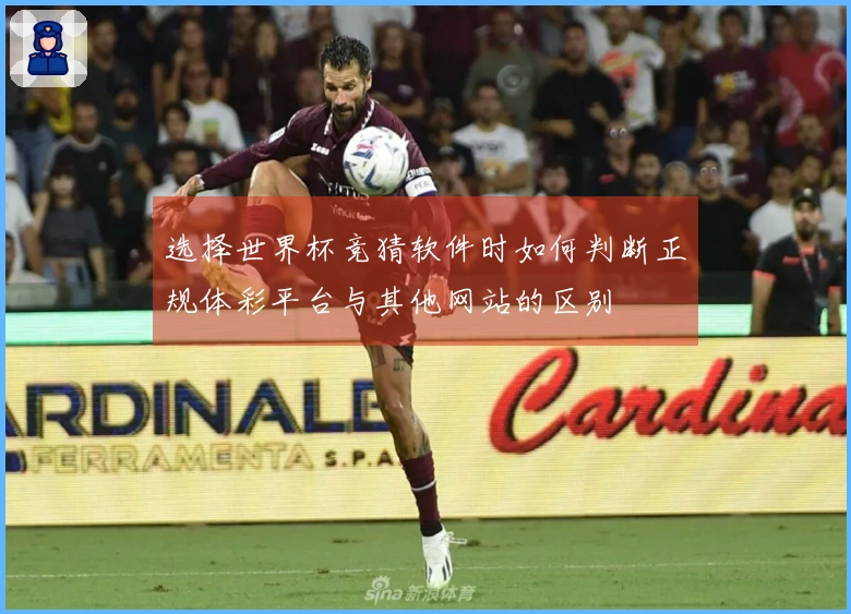 选择世界杯竞猜软件时如何判断正规体彩平台与其他网站的区别