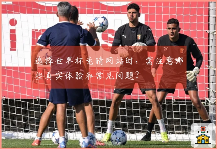 选择世界杯竞猜网站时，需注意哪些真实体验和常见问题？